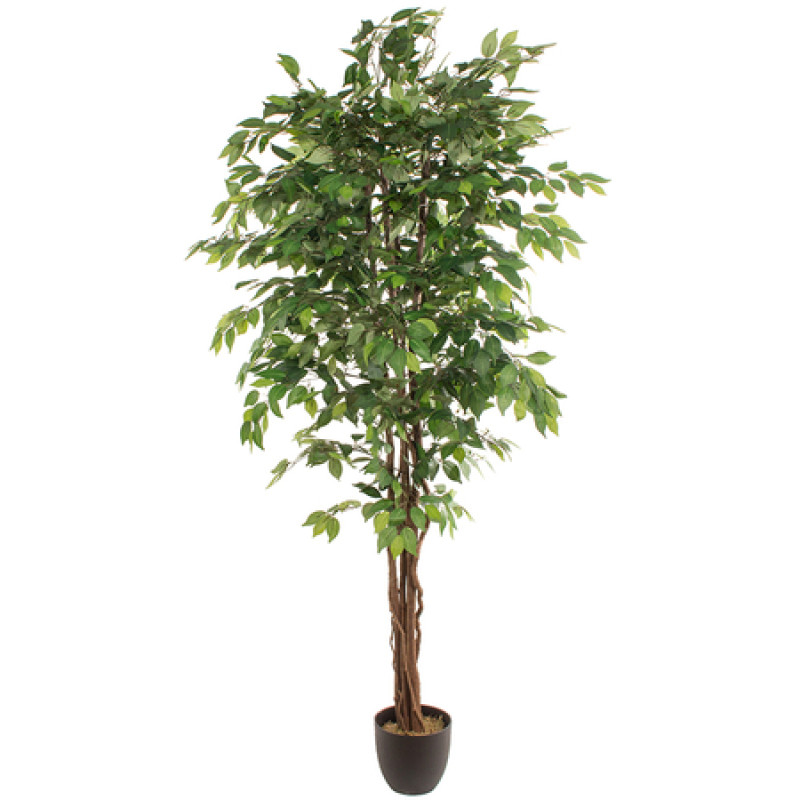 Kunsttaim FICUS 2,20m